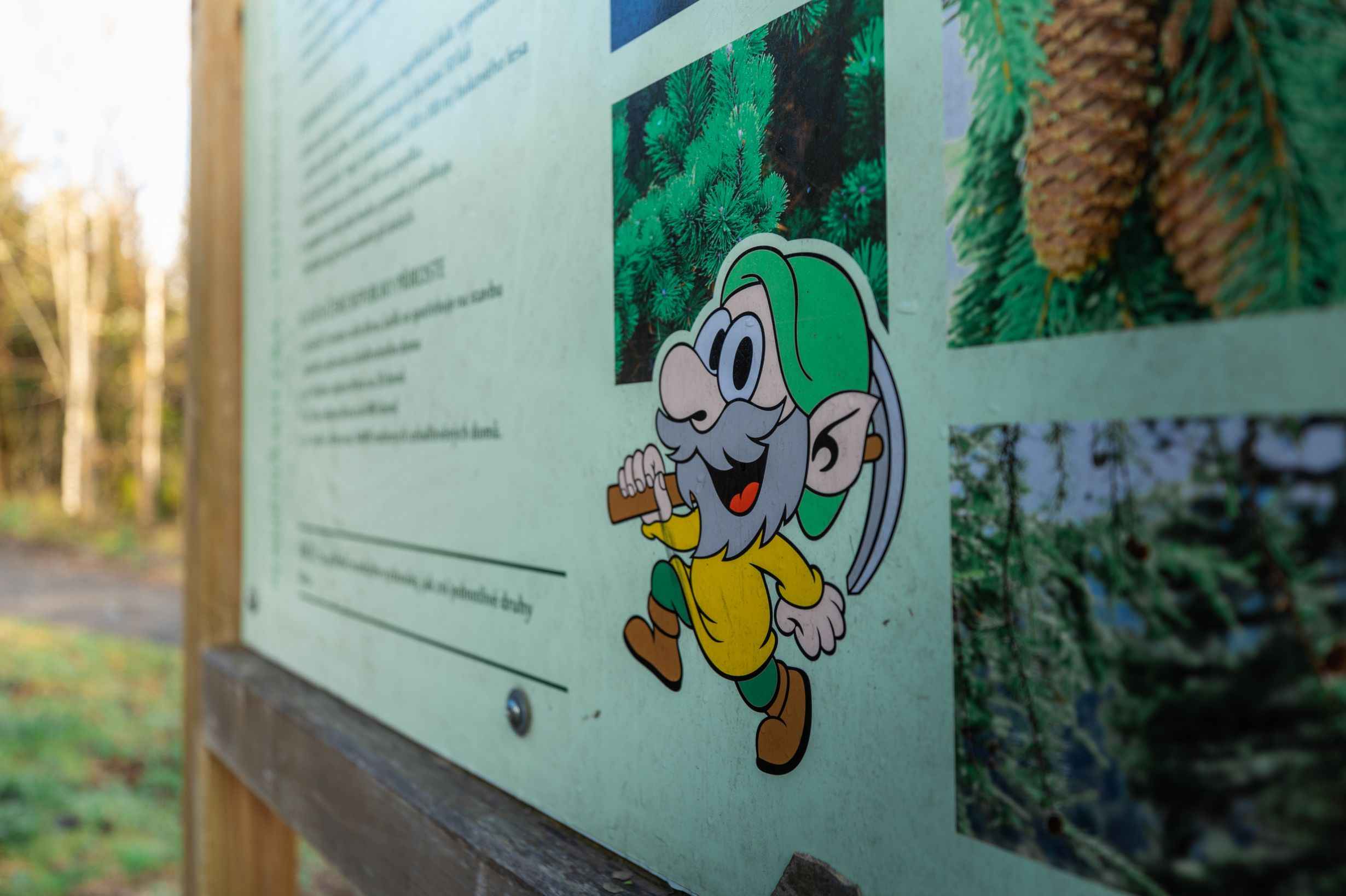 Educational trail of Hrubik the Elf
