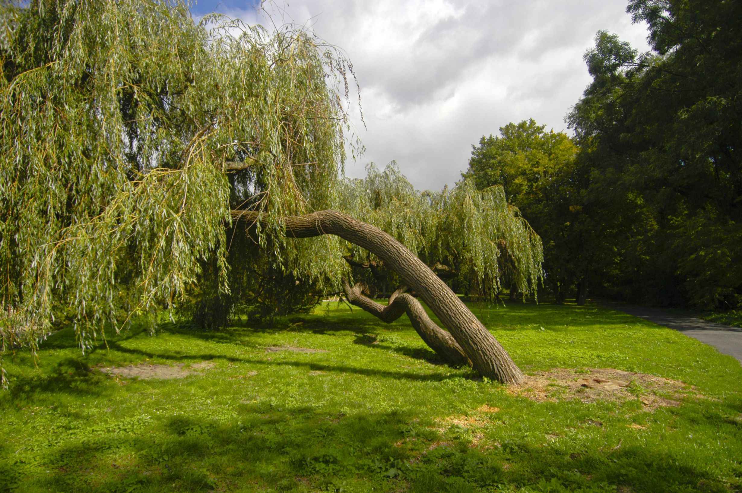 Lehrpfad Stadtpark Uničov