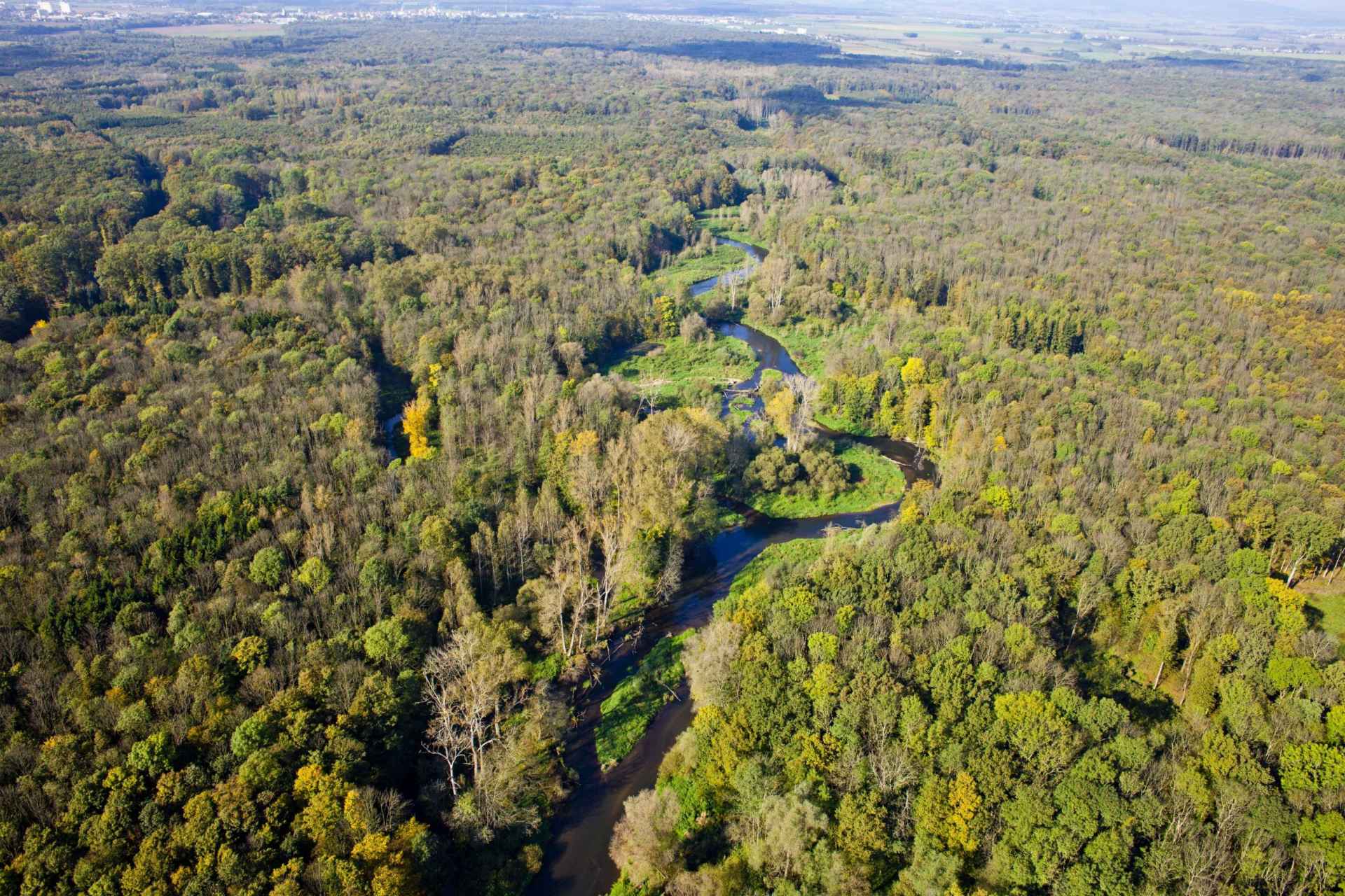 Litovelské Pomoraví Protected Landscape Area