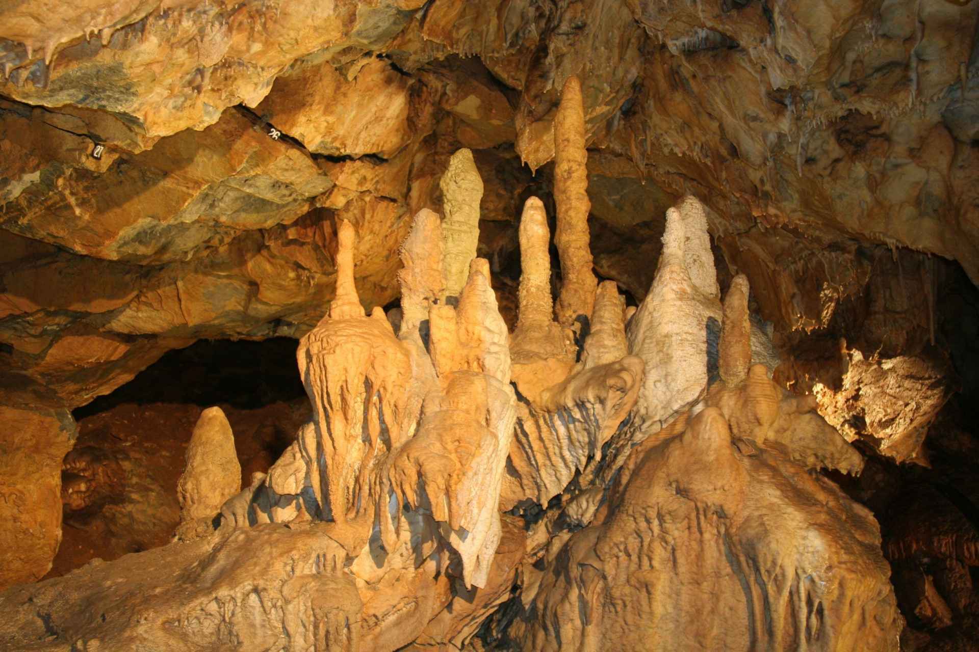The Mladeč Caves