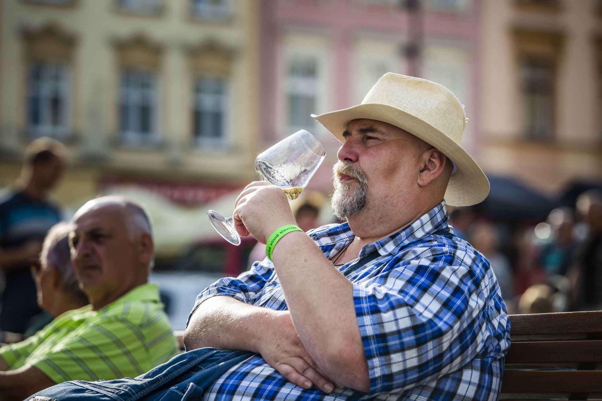OLOMOUCKÉ VINNÉ SLAVNOSTI