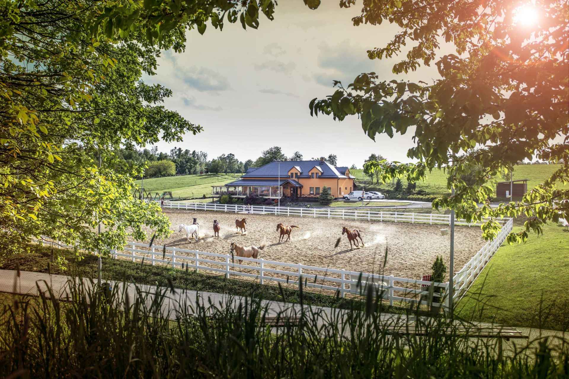 Equestrian area Hostinův Důl Tršice