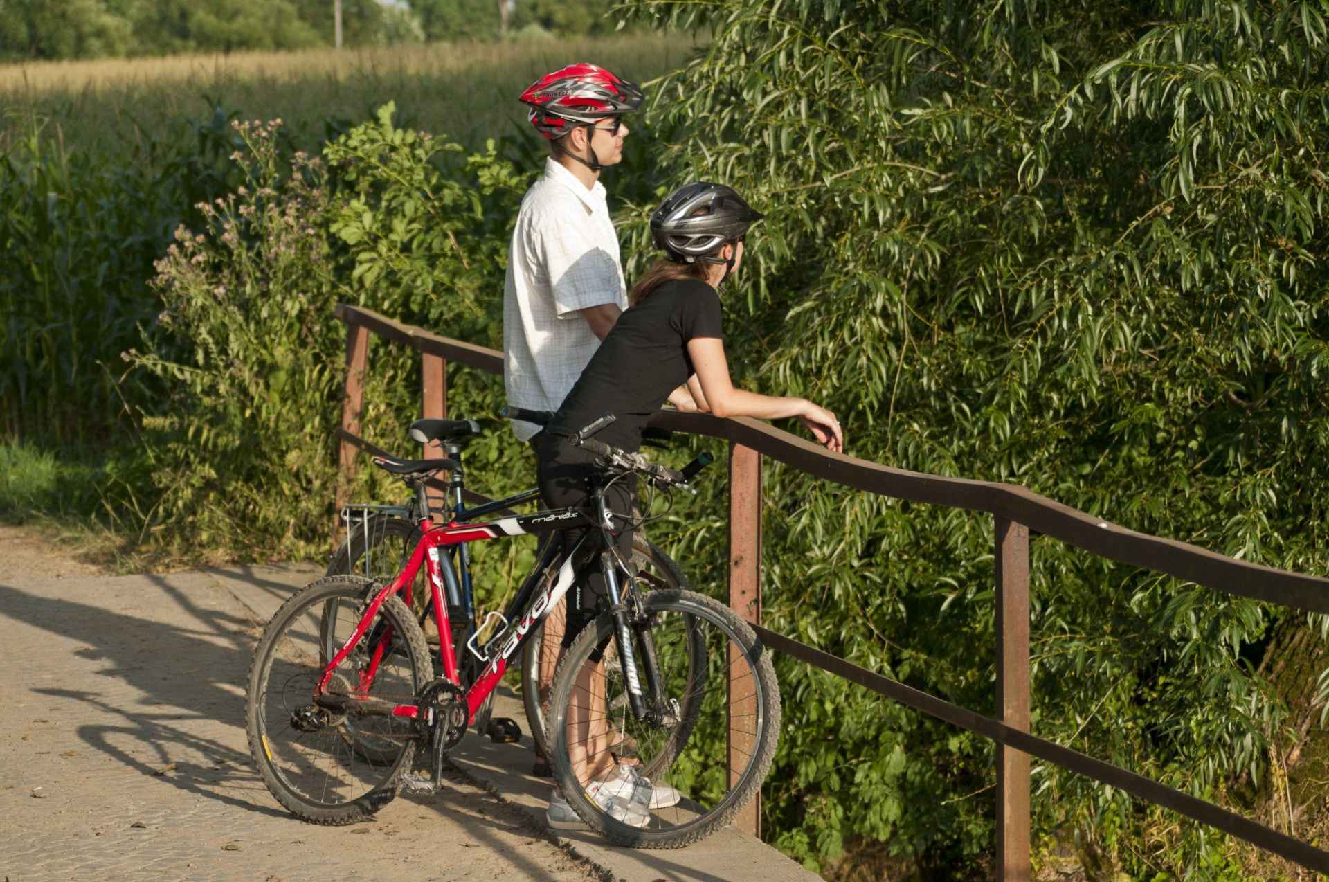 Trasa rowerowa – Do ogrodu zoologicznego i za kąpielą