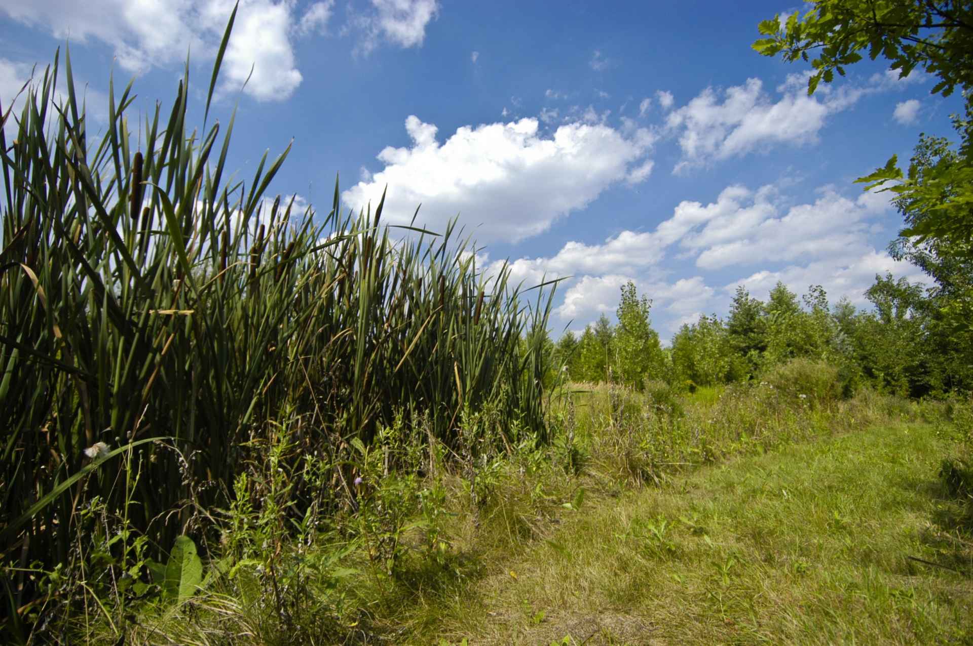The Čehovice Nature Trail