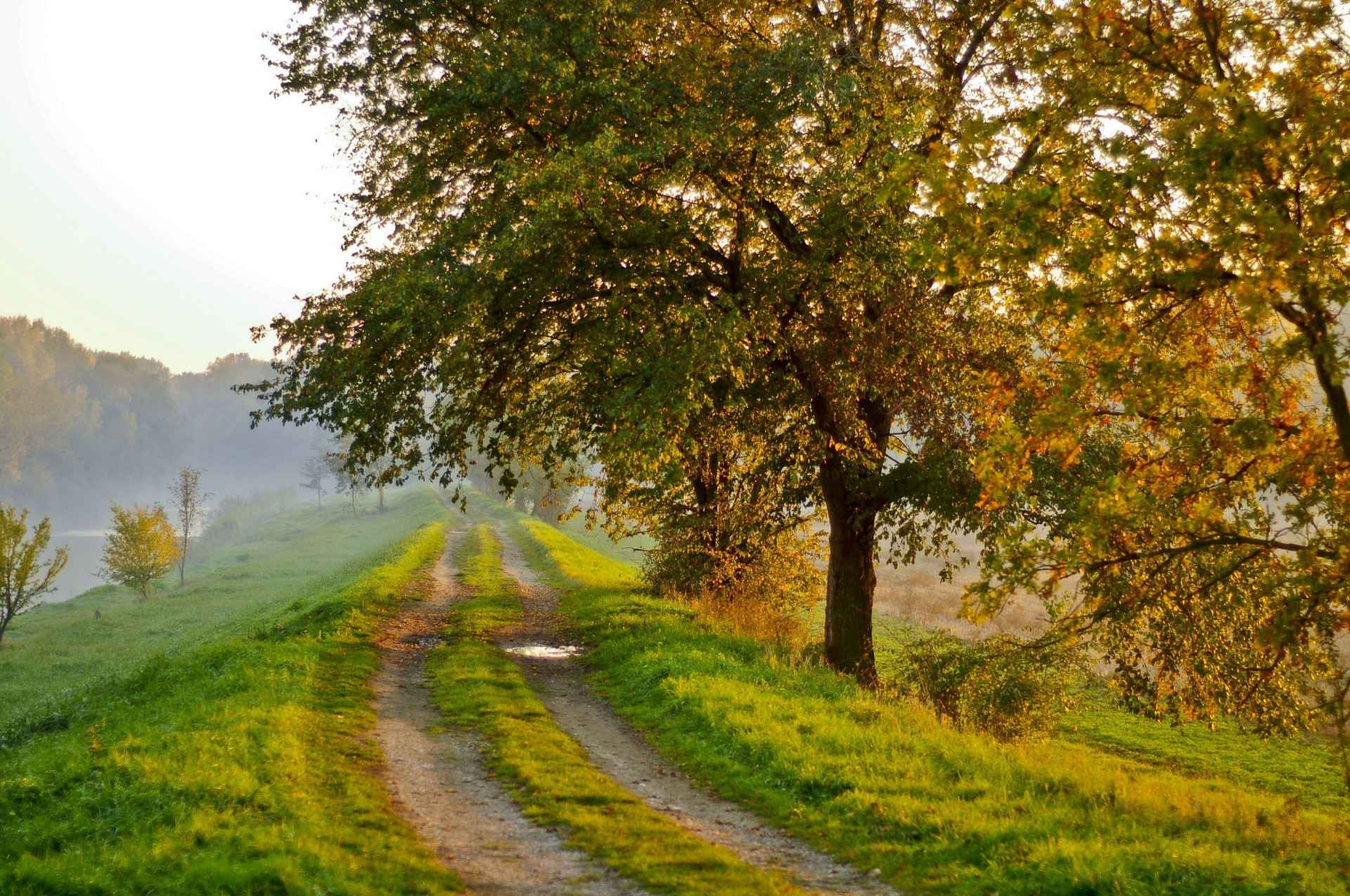 The Fox Bystrouška Nature Trail