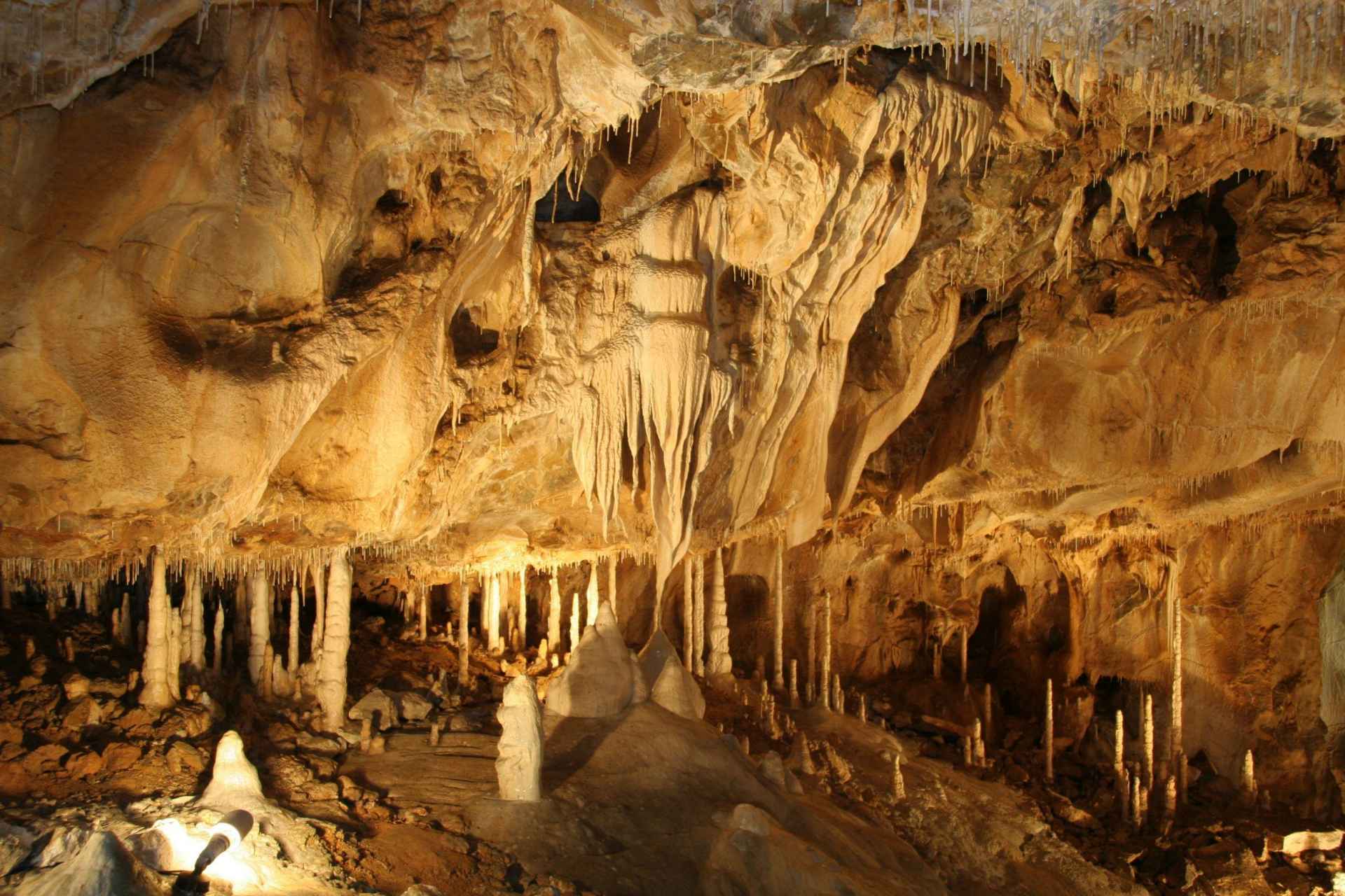 Jaskinia Jaworzycka (cz. Javoříčské jeskyně)