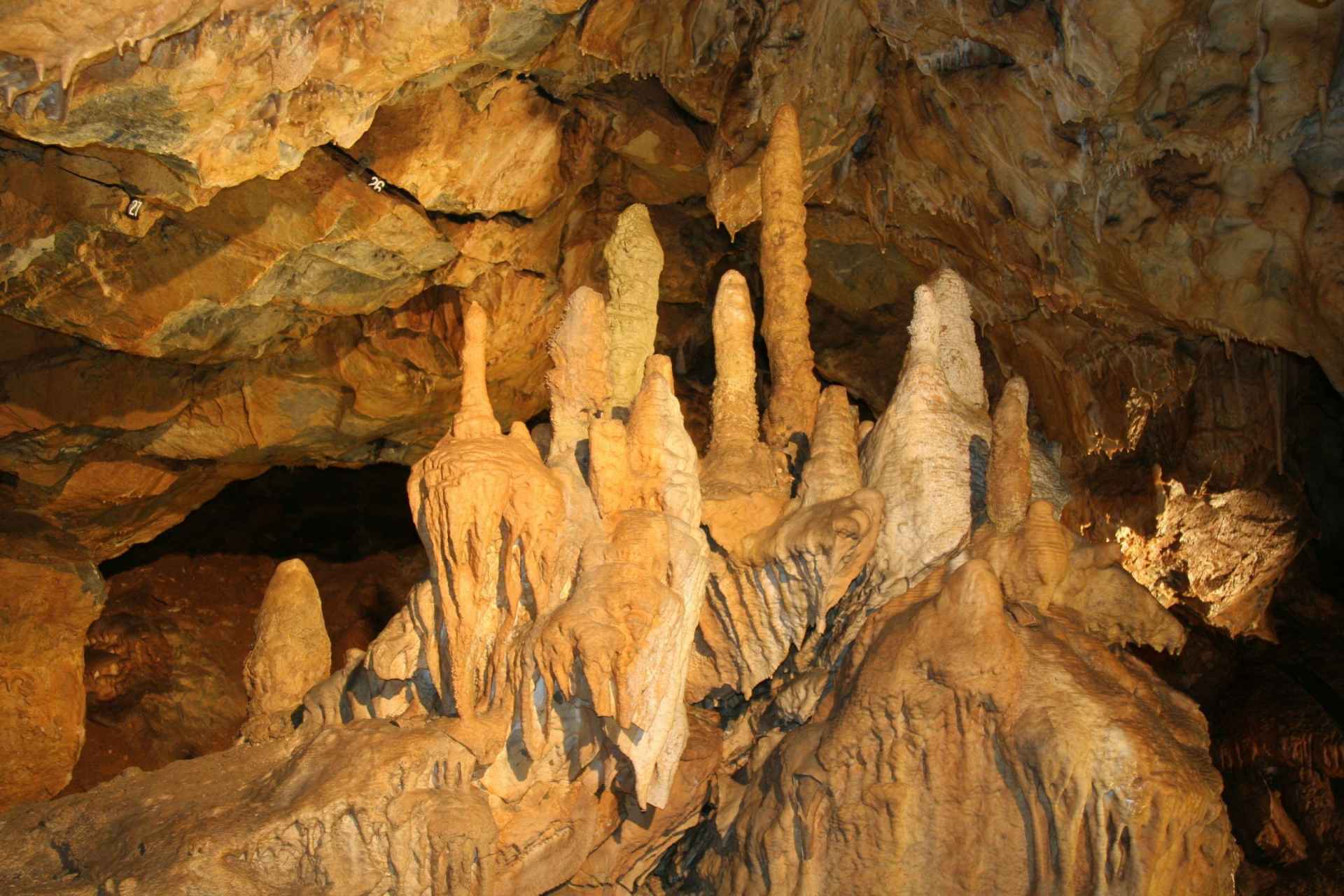 Jaskinie Mladeczskie (cz. Mladečské jeskyně)