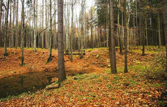Nature trail Valšovice