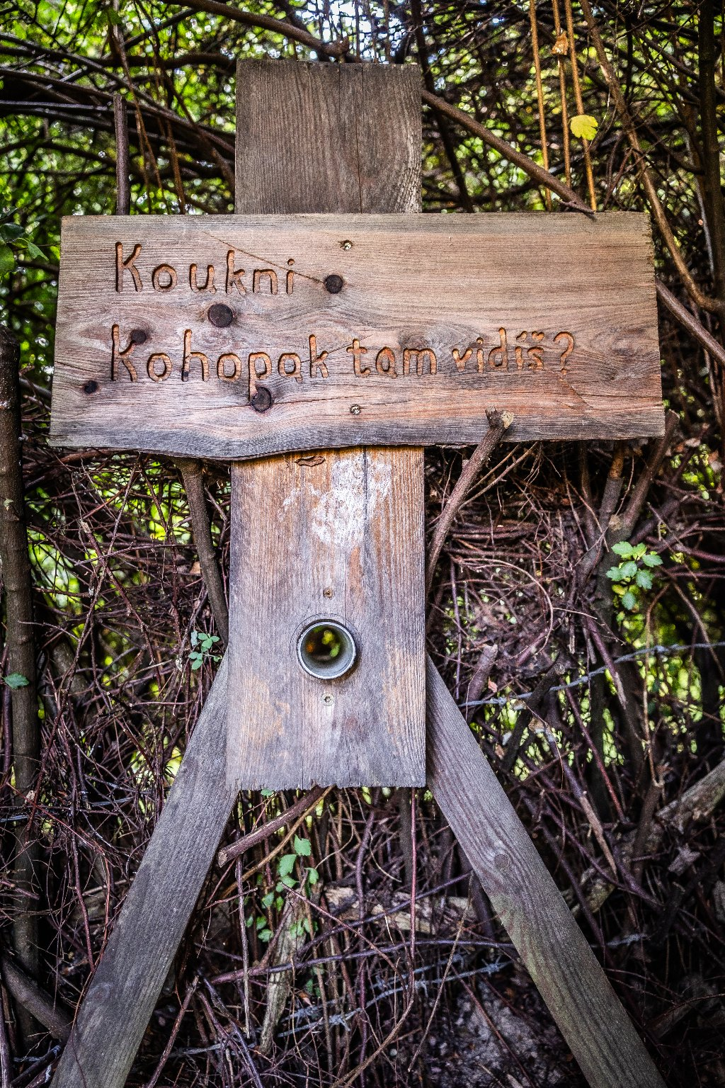 Záznam není přeložen