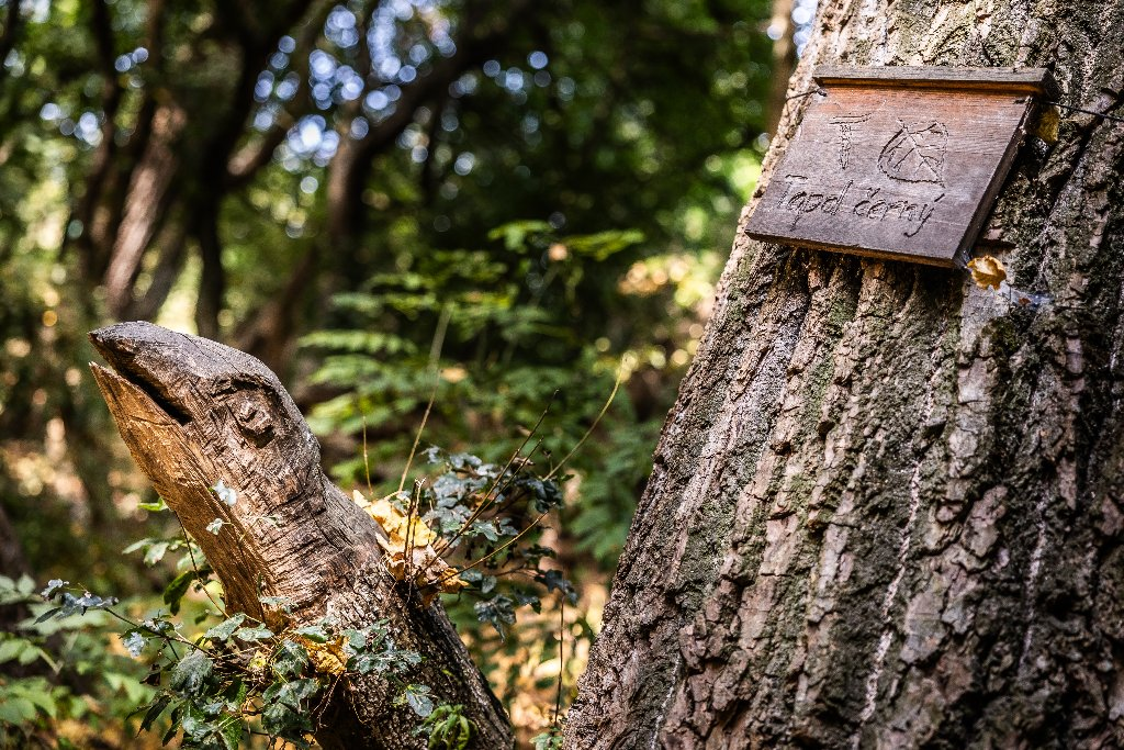 Záznam není přeložen