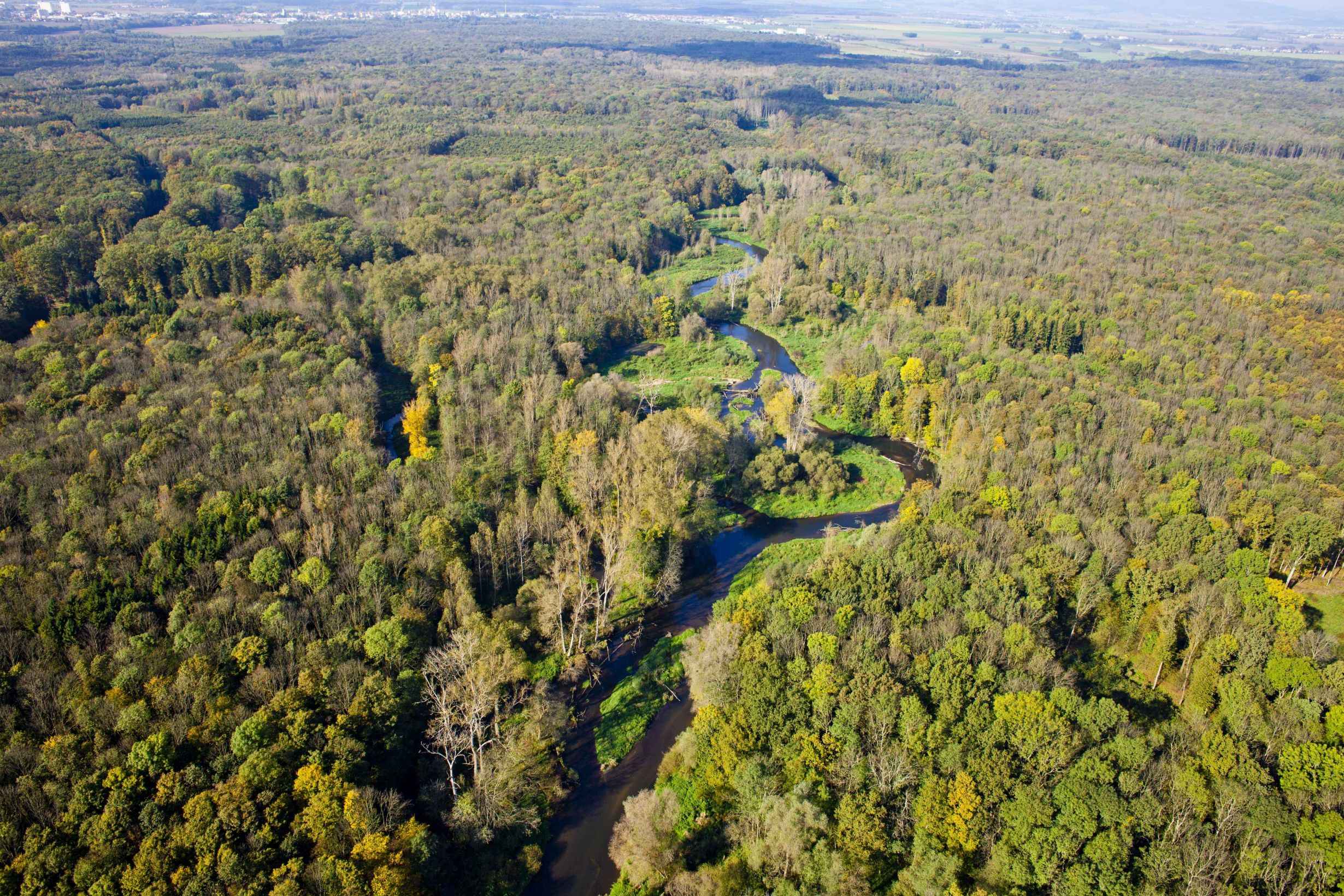 CHKO Litovelské Pomoraví (m-ARK)