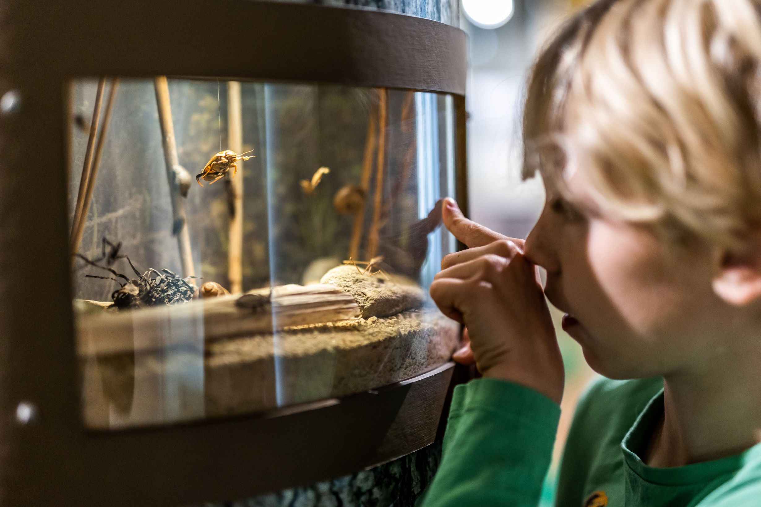 Vlastivědné muzeum v Olomouci (Daniel Schulz)