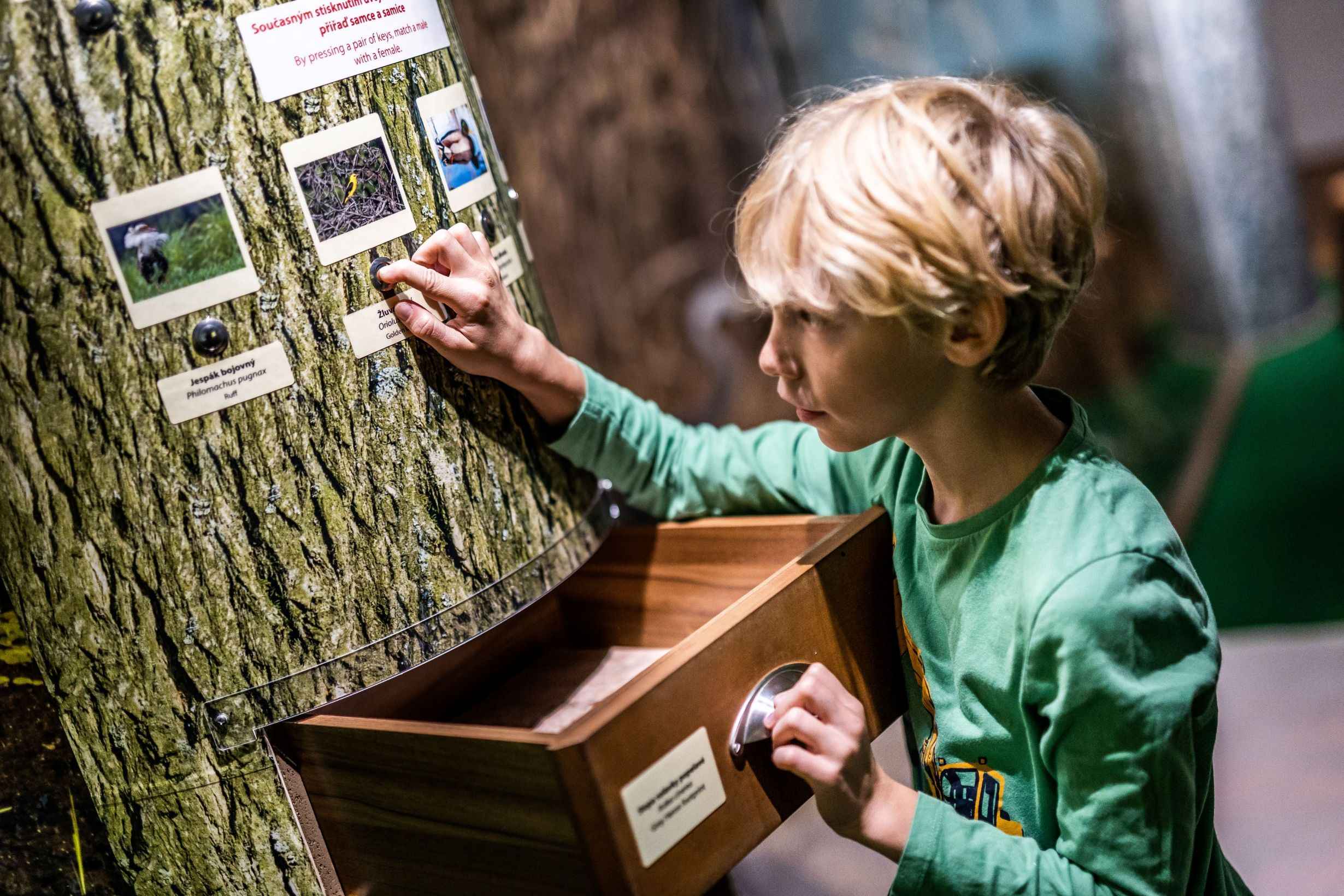 Vlastivědné muzeum v Olomouci (Daniel Schulz)