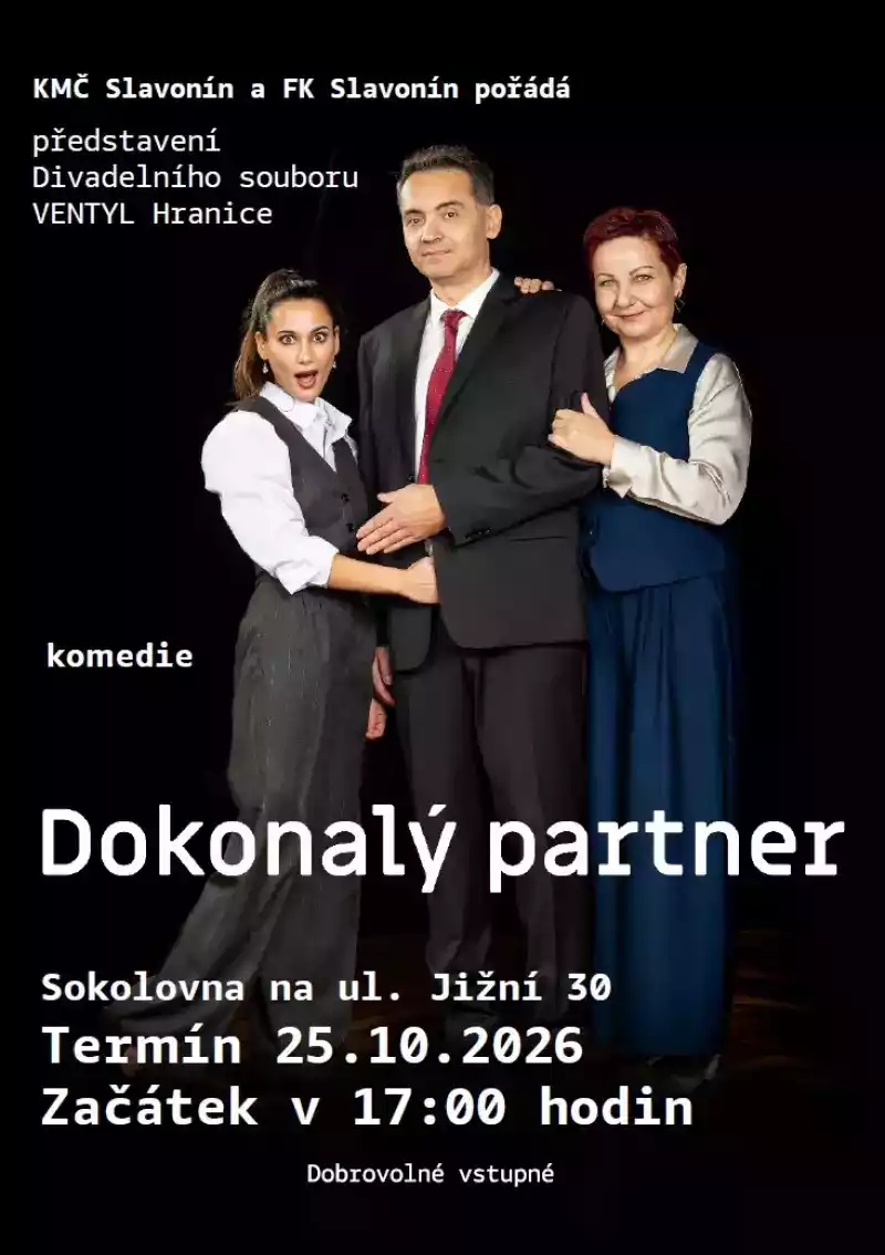 Dokonalý partner