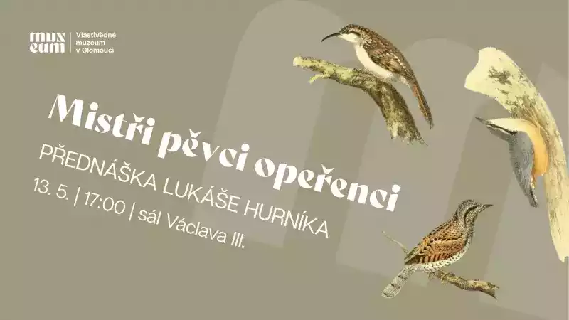 Mistři pěvci opeřenci | přednáška Lukáše Hurníka