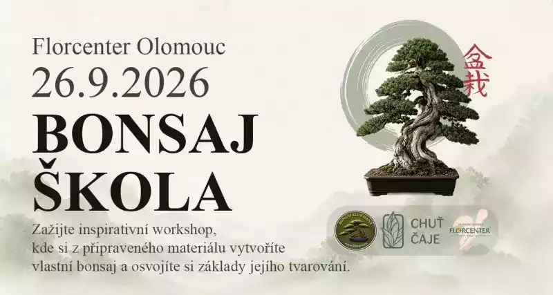 Bonsaj škola