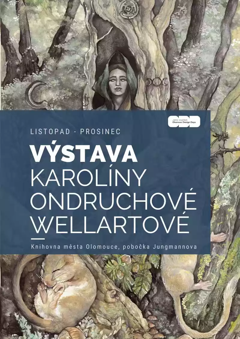 Výstava děl Karolíny Ondruchové Wellartové