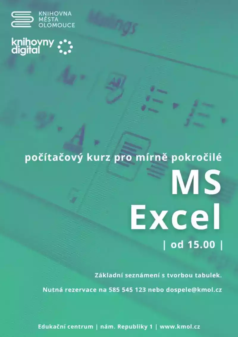 MS Excel