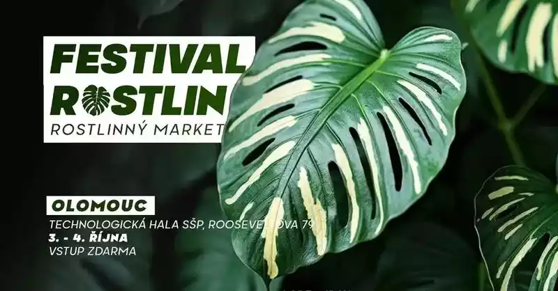 Festival Rostlin