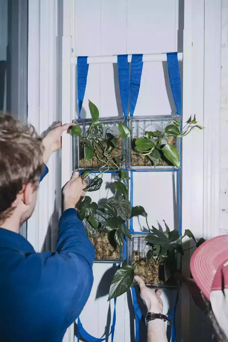 Workshop: Dejte luxfeře nový život!