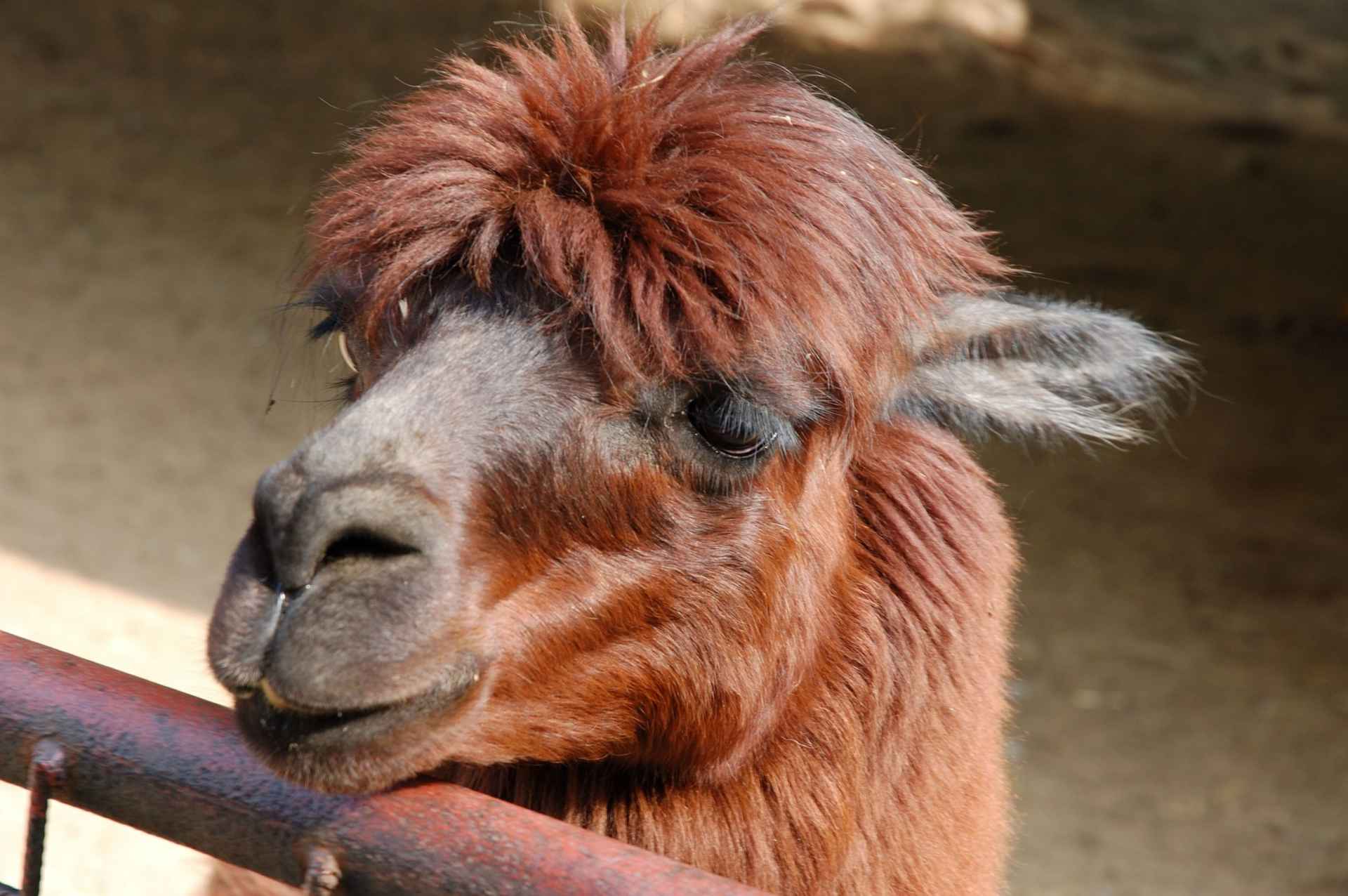 ZOO Olomouc
