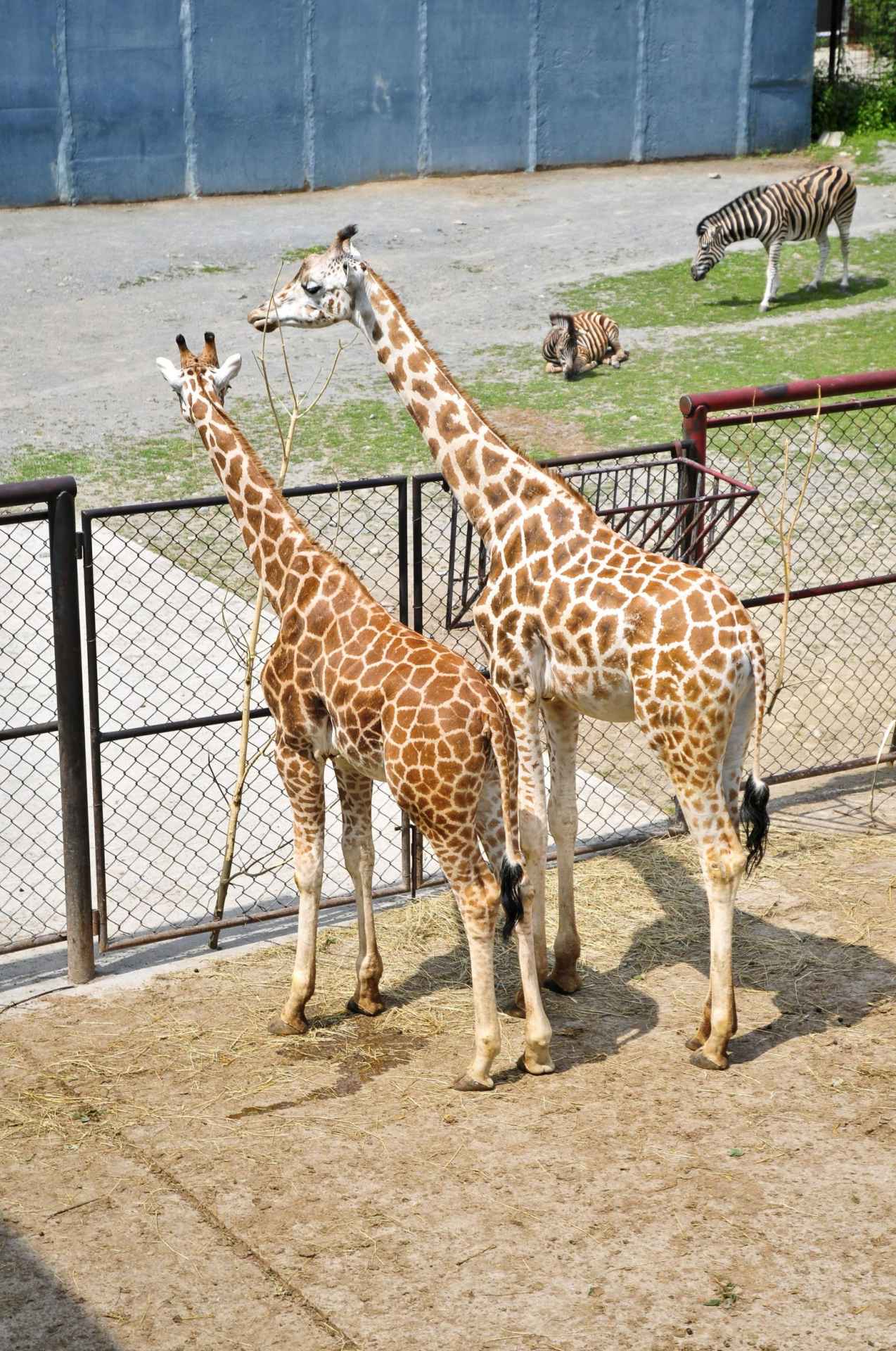 ZOO Olomouc