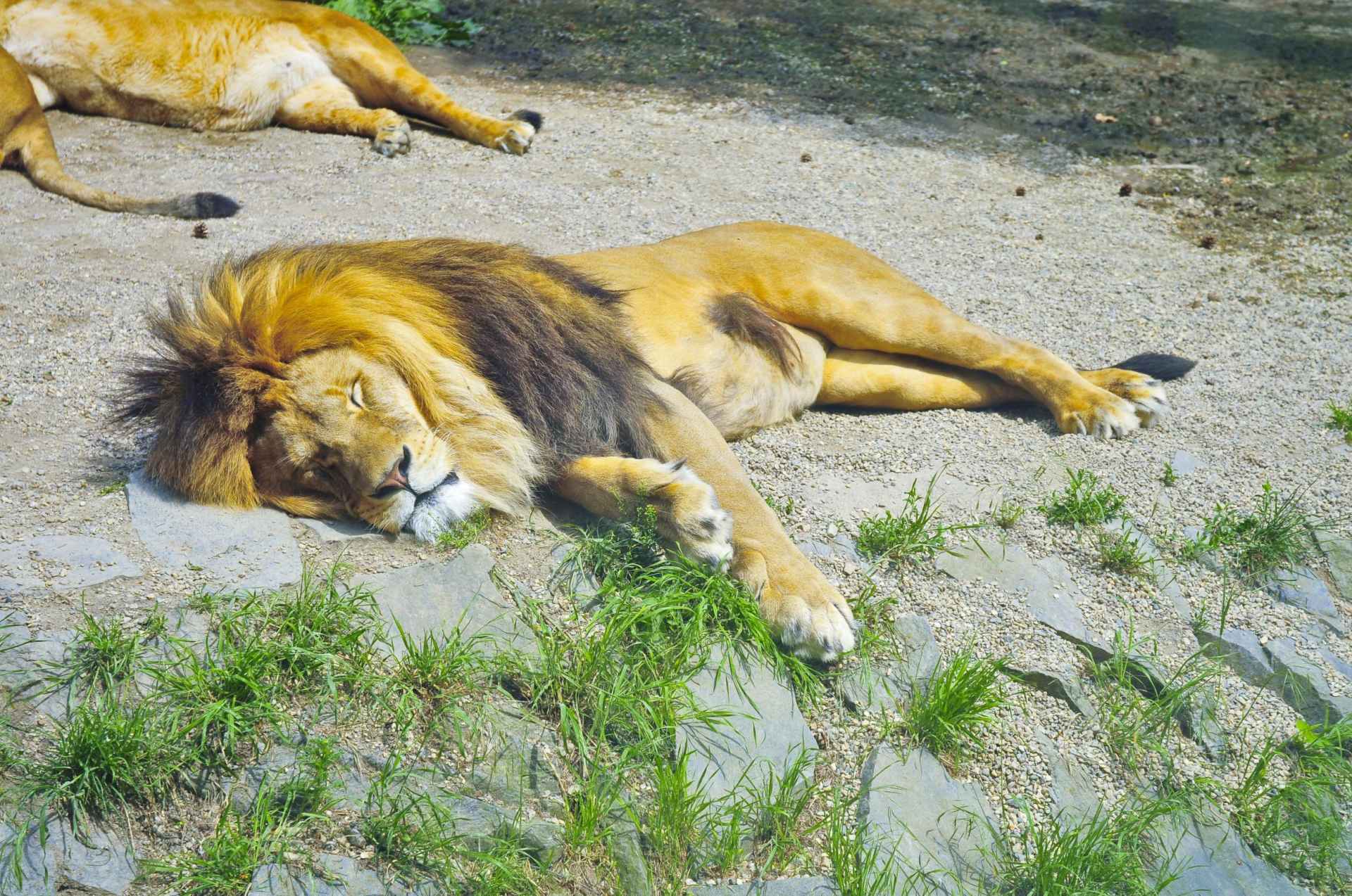 ZOO Olomouc