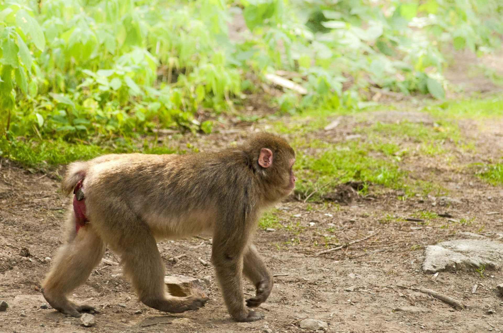 ZOO Olomouc