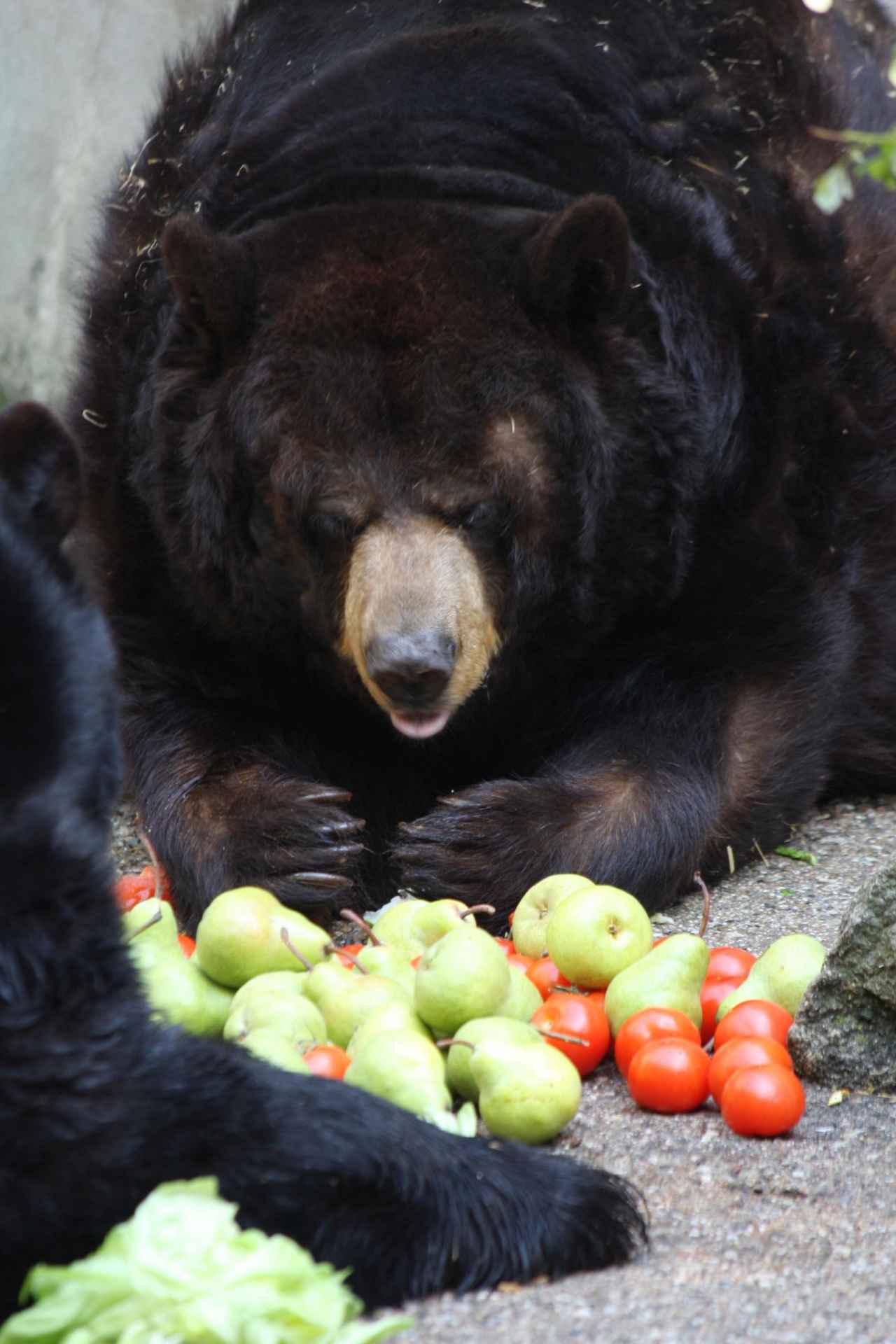 ZOO Olomouc