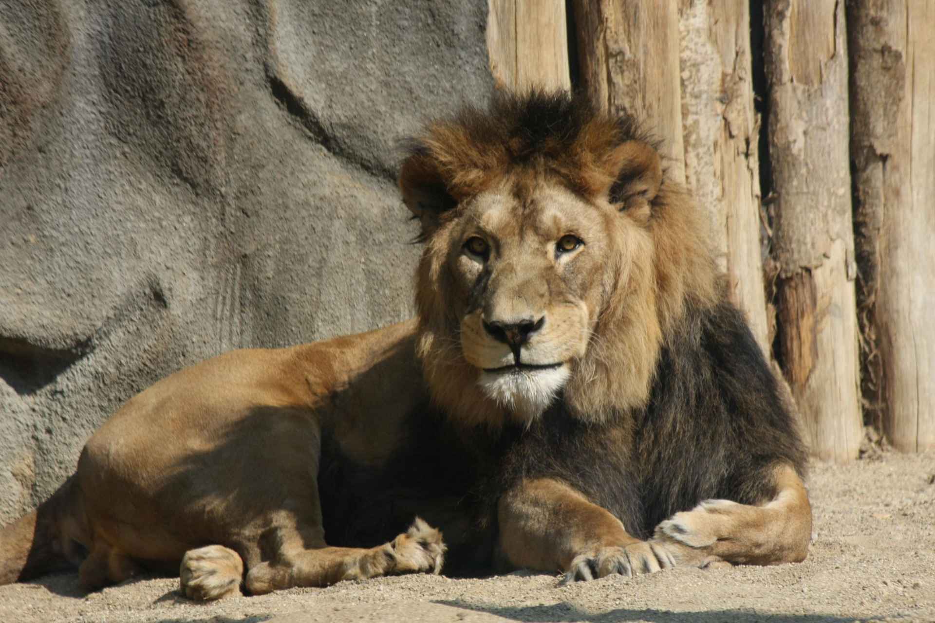 ZOO Olomouc