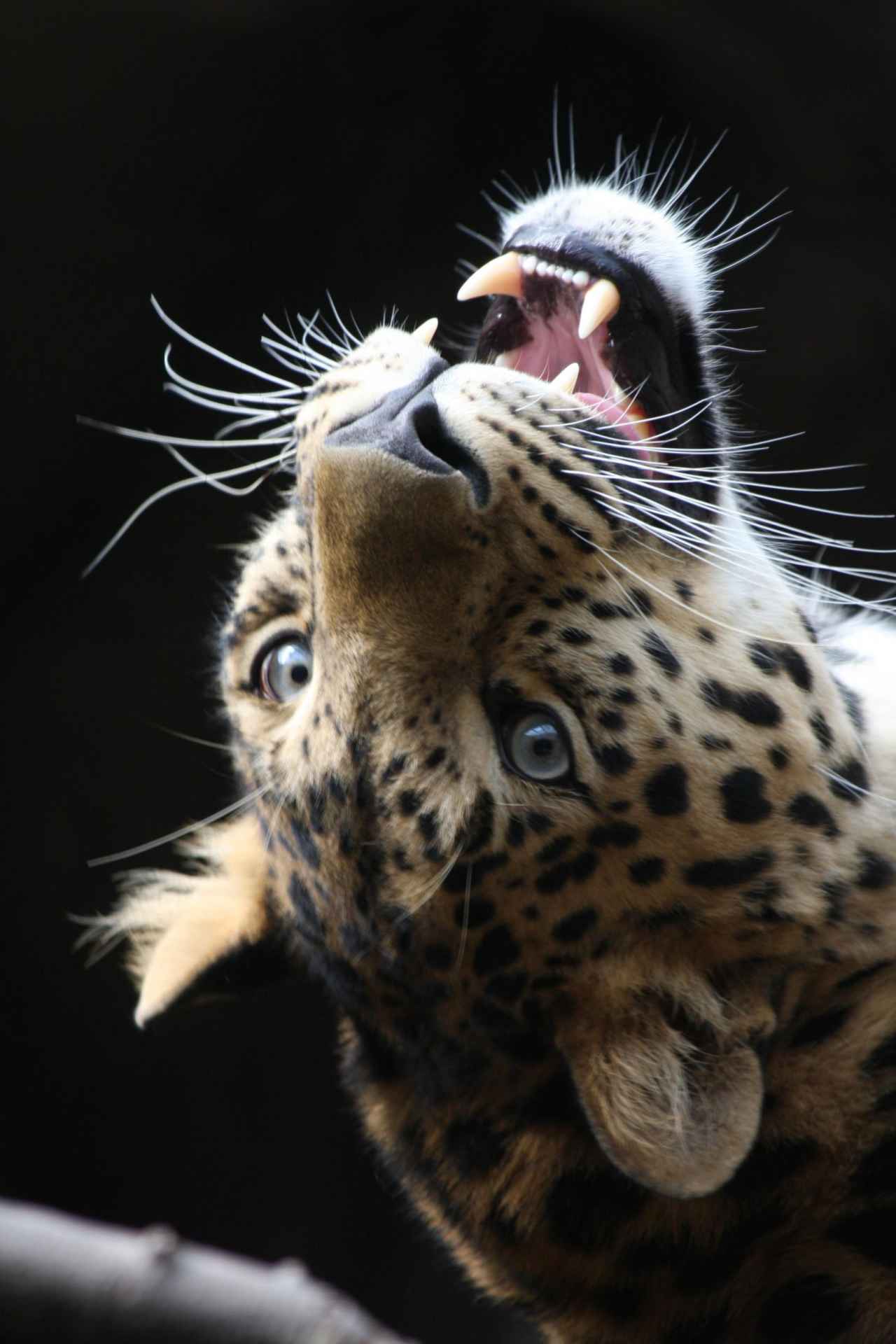 ZOO Olomouc