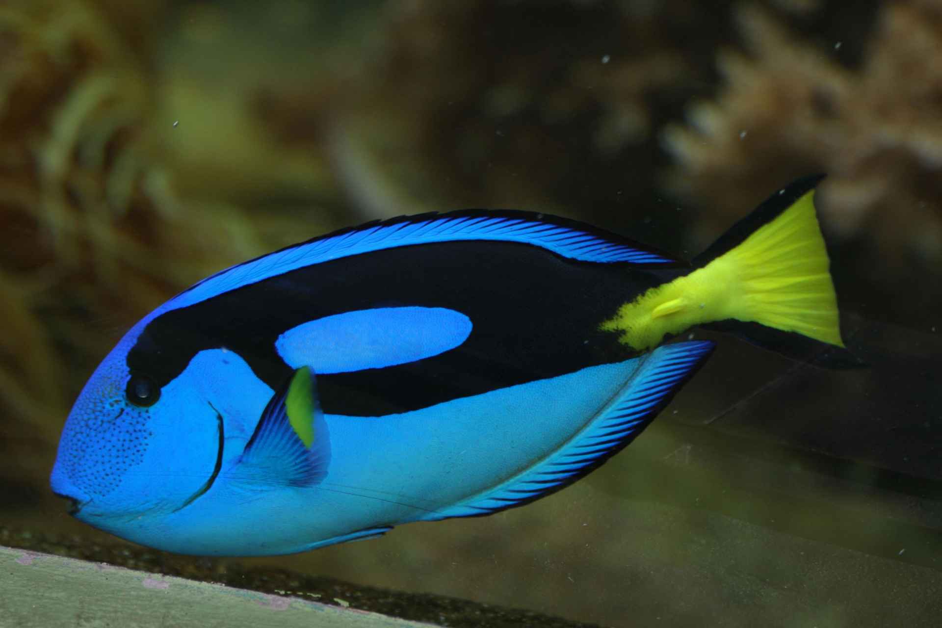 ZOO Olomouc