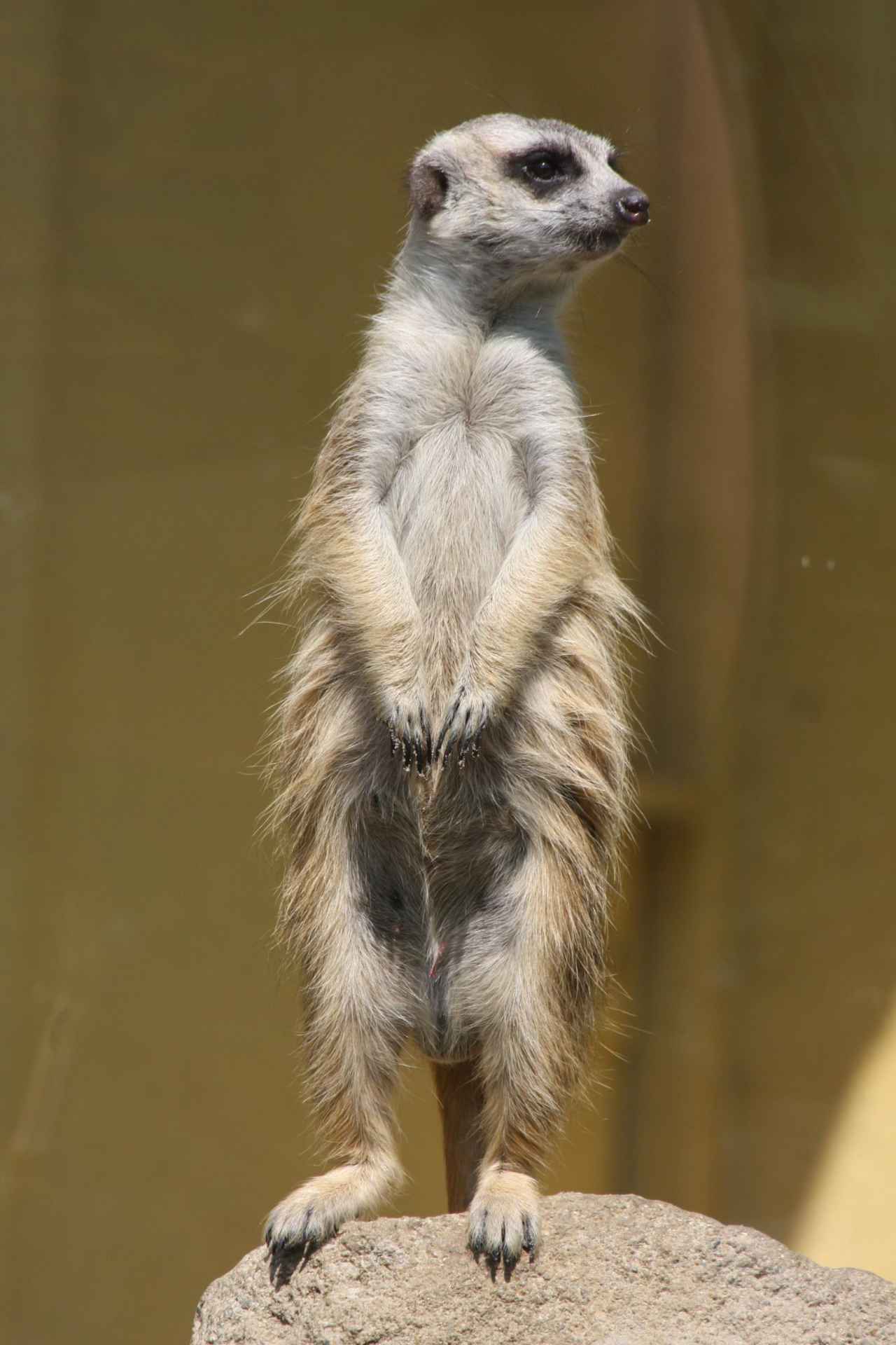 ZOO Olomouc