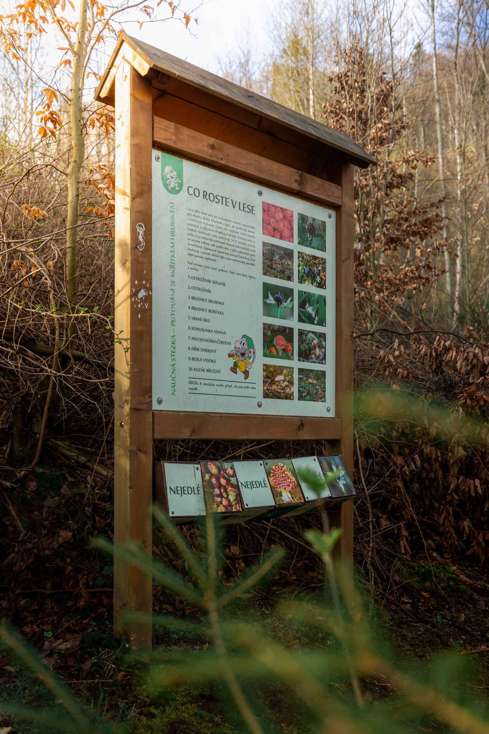 Educational trail of Hrubik the Elf