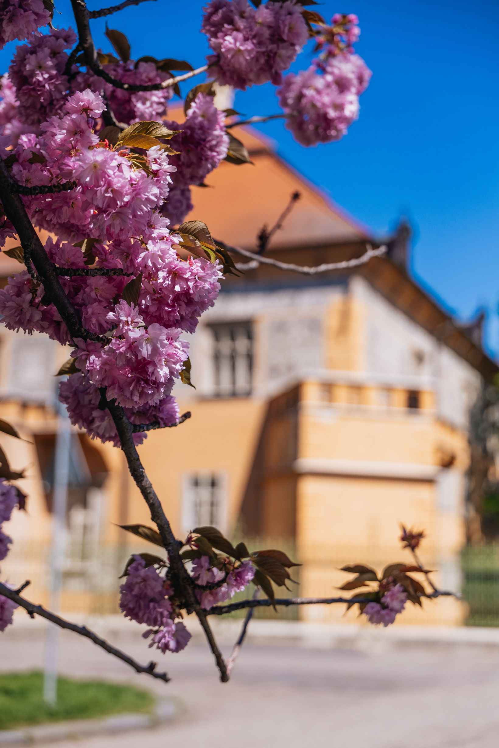 Zámek Prostějov