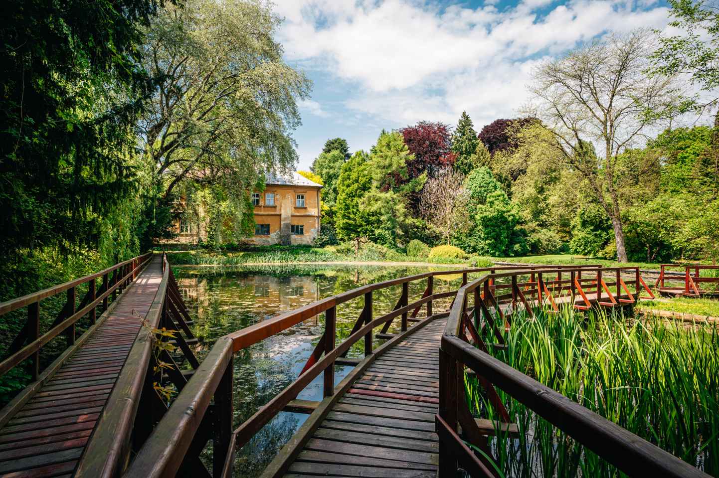 Arboretum Bílá Lhota
