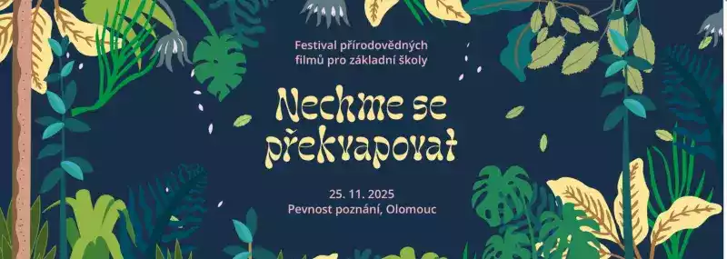 Festival - Nechme se překvapovat