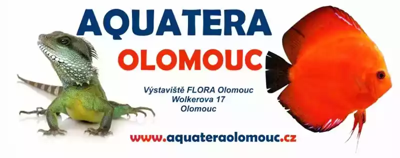 Aquatera Olomouc