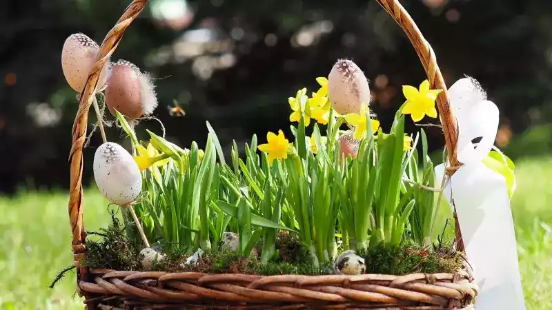 Velikonoční tradice a komentovaná krmení v areálu