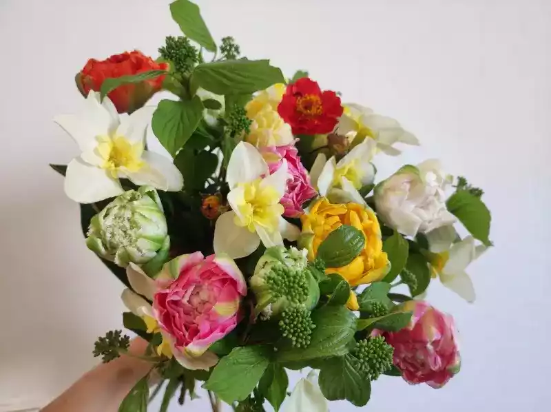 Květinové workshopy s večeří - Jarní kytice