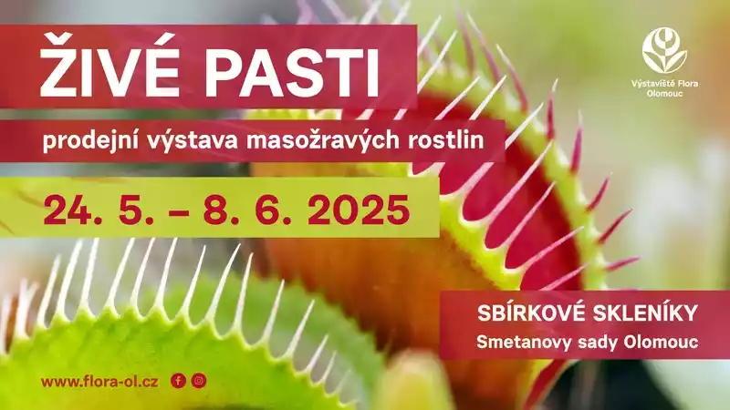 Żywe pułapki