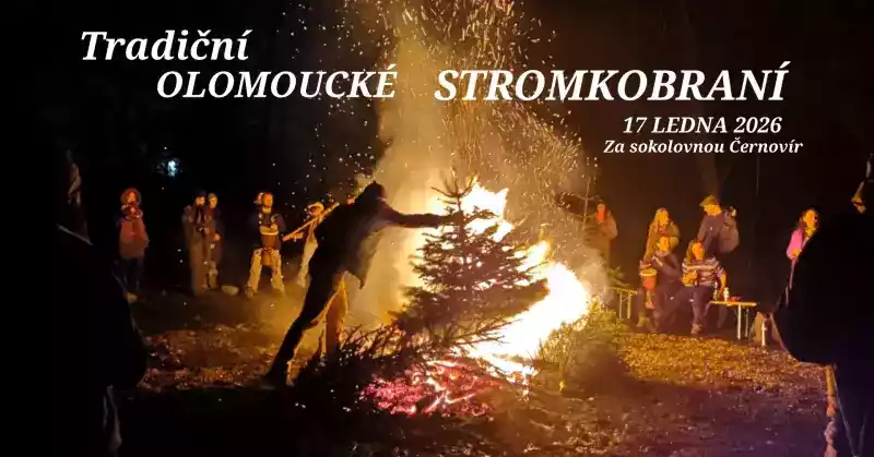 Tradiční Olomoucké stromkobraní
