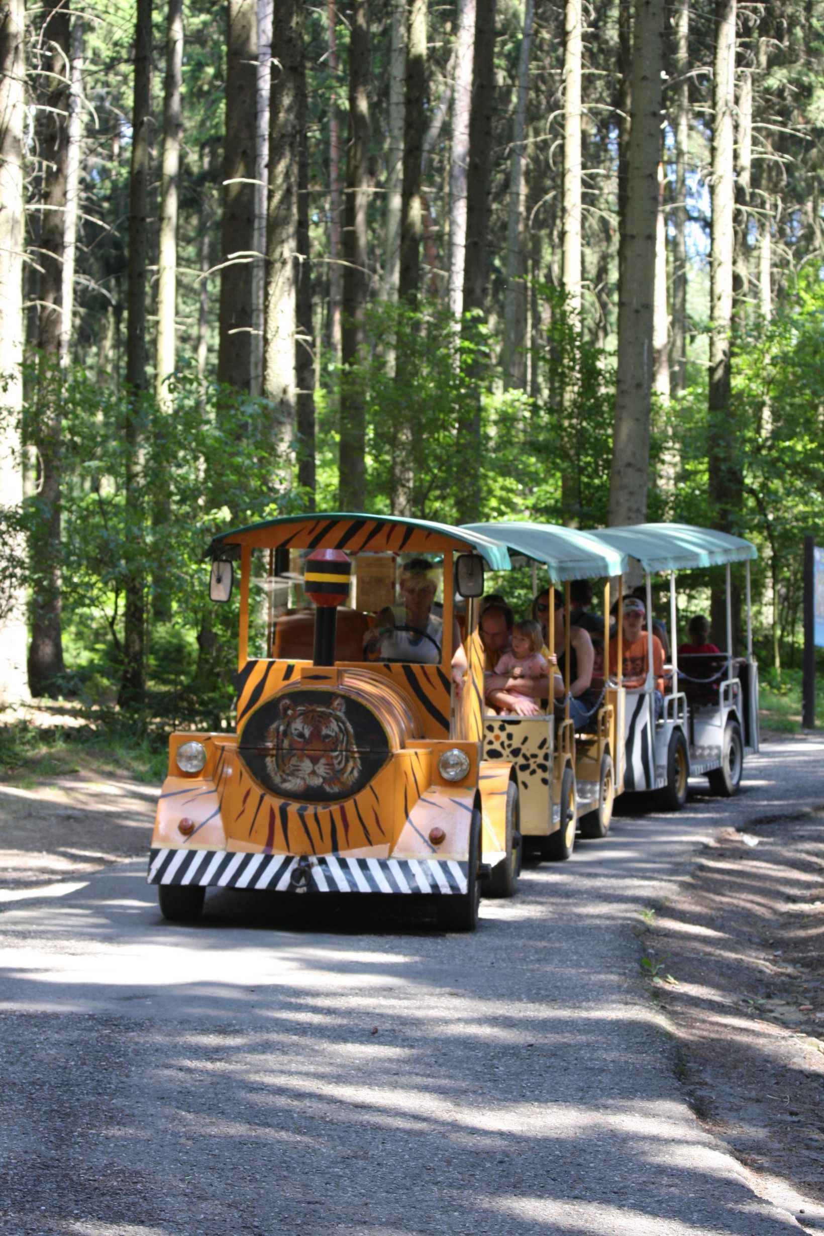 Záznam není přeložen