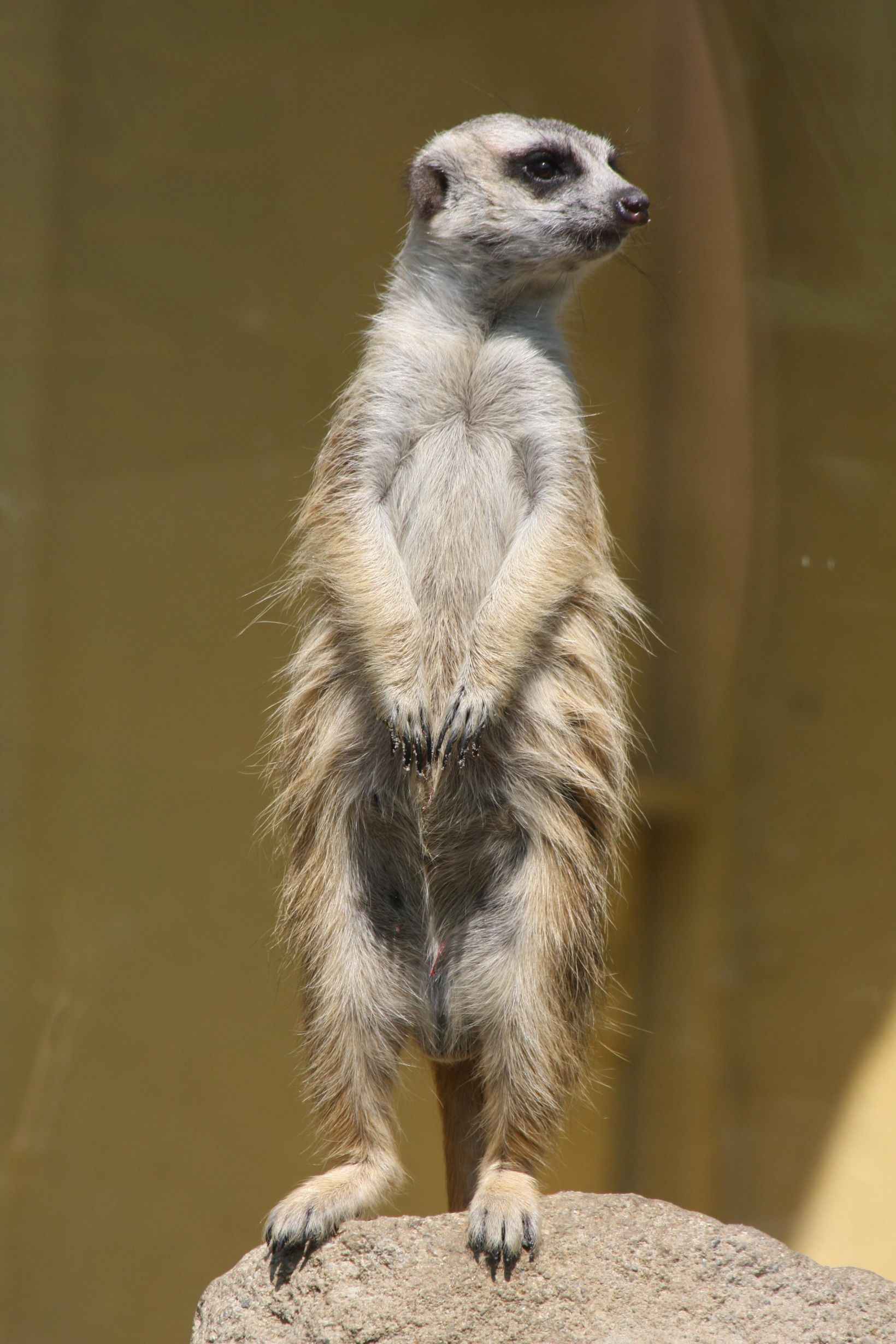 Záznam není přeložen