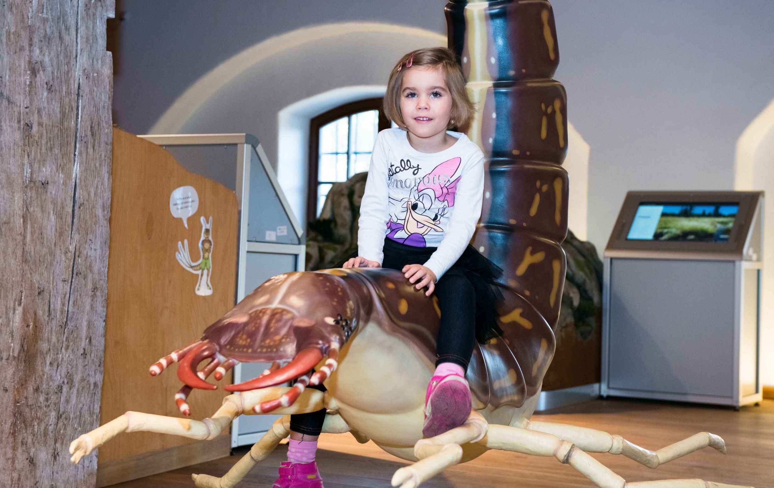 Záznam není přeložen