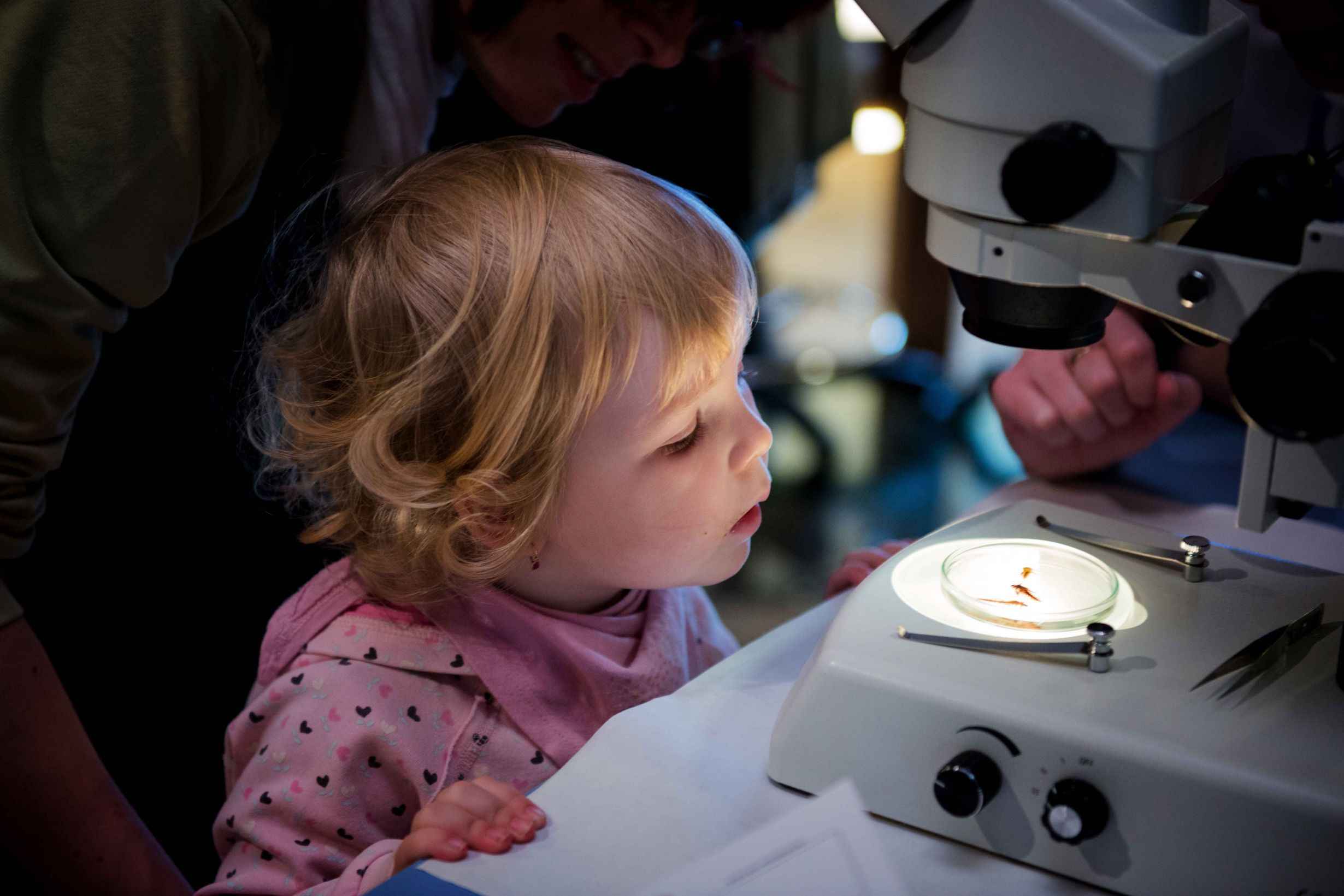 Záznam není přeložen