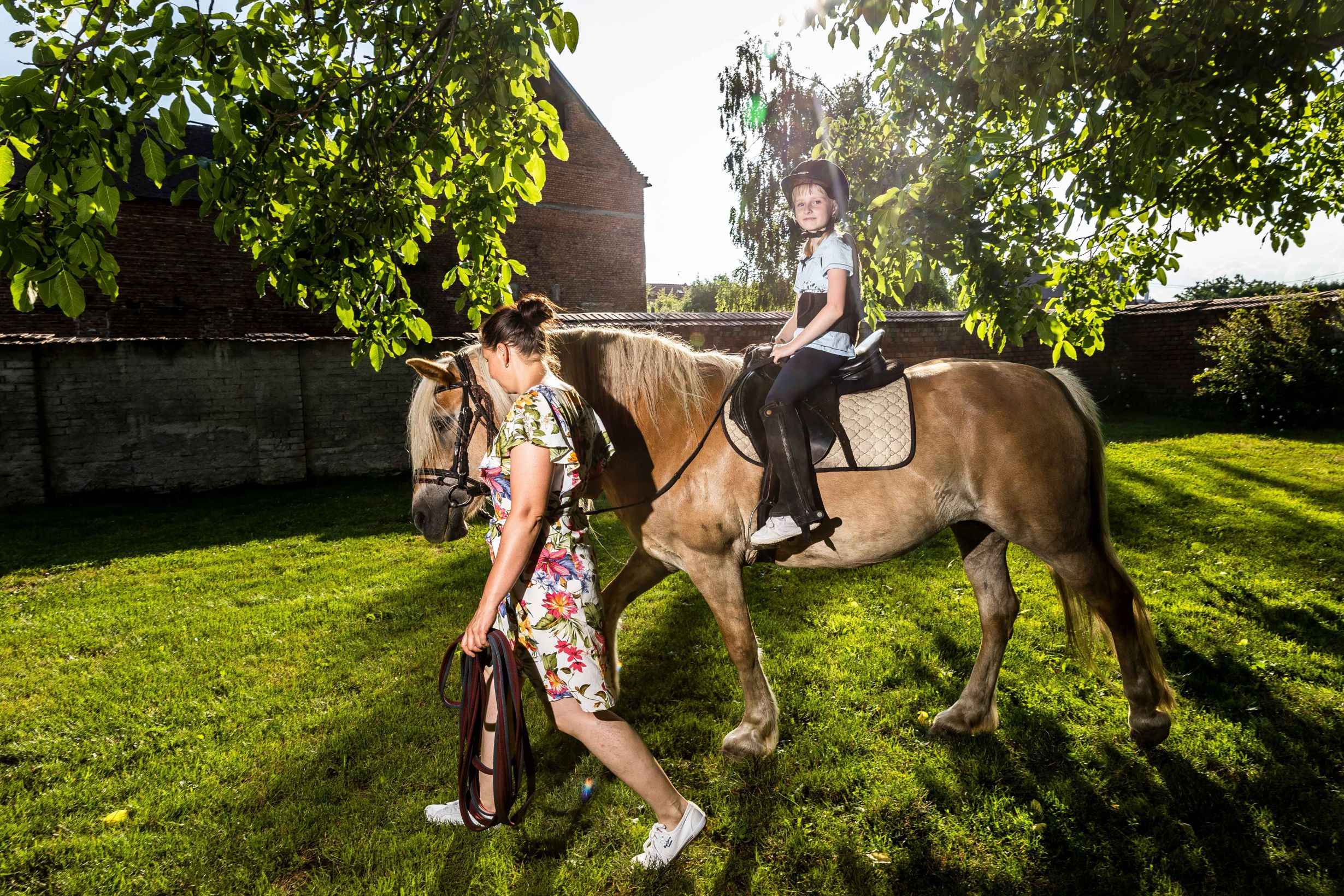 Záznam není přeložen