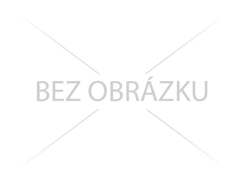 Obrázek bez názvu