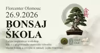 Bonsaj škola