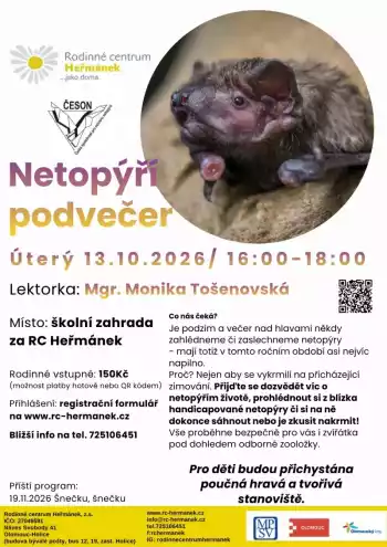 Netopýří podvečer